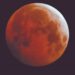 FENÓMENO ASTRONÓMICO Disfrutan eclipse lunar parcial