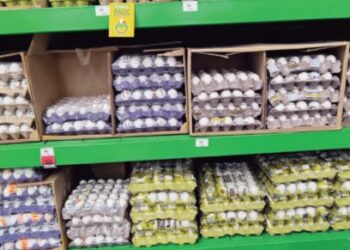 Sin problemas huevo de importación: Coepris