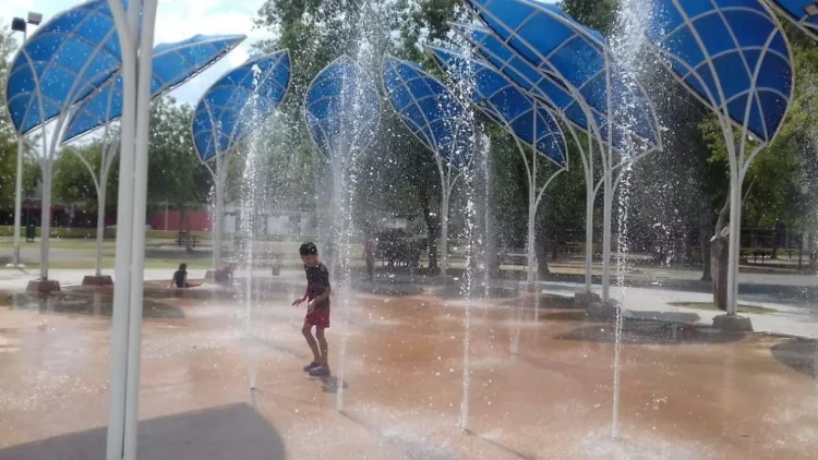 Ahorran hasta el 35% de agua