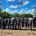 Refuerza la UAT combate al gusano barrenador