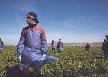 A PARTIR DE NOVIEMBRE Rendirán homenaje a empleados agrícolas