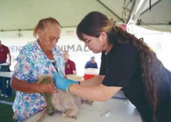Acercan servicios municipales a Colinas del Sur