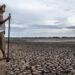PREOCUPA A CIUDADANOS Llaman a atender cambio climático