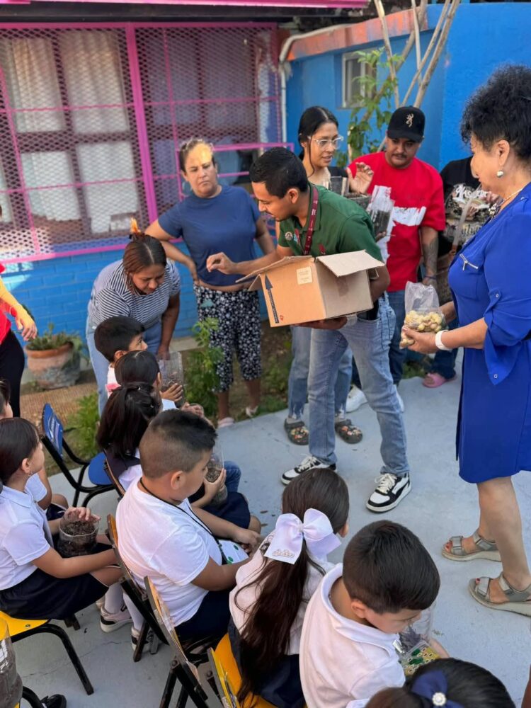 Fomentan la educación ecológica