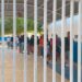 Liberarán 900 plazas para maestros
