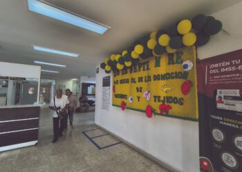 Riñón encabeza demanda de trasplantes