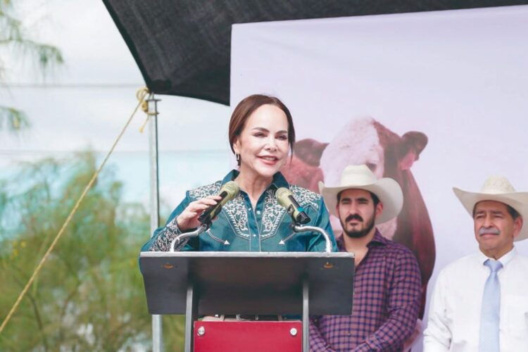 CON PROGRAMA MINERALIZA TU GANADO Fortalece Alcaldesa ganadería local