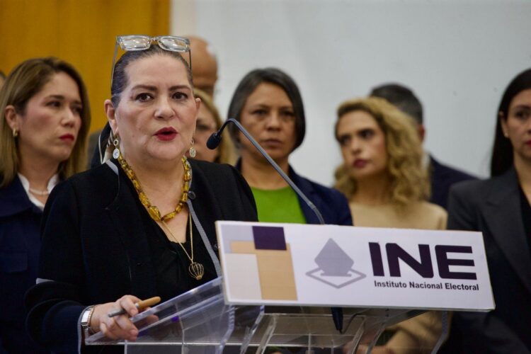 Taddei anuncia que renunciará al INE