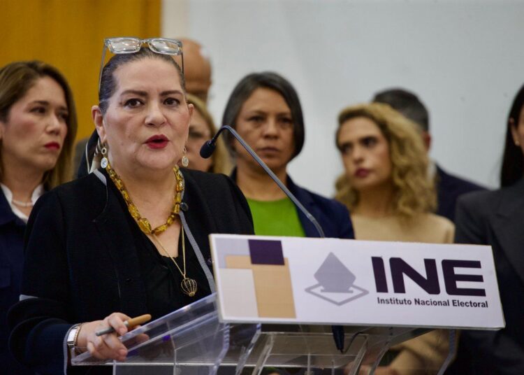 Taddei anuncia que renunciará al INE