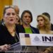 Taddei anuncia que renunciará al INE